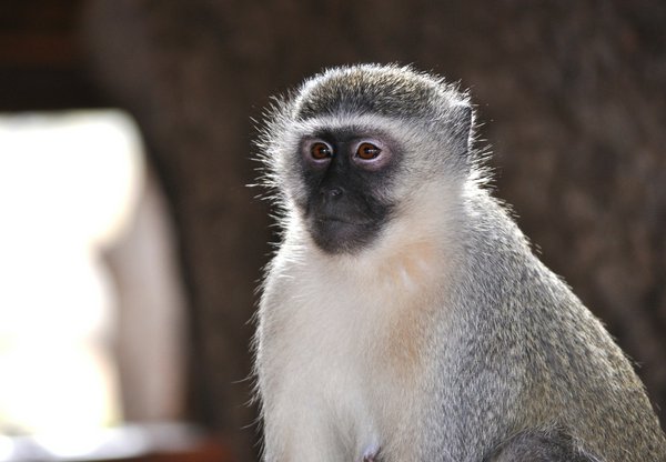 Kruger National Park Kruger National Park | Avventure nel Mondo
